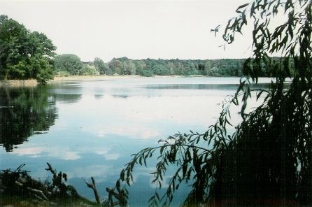 See1