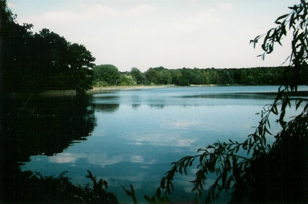 See2